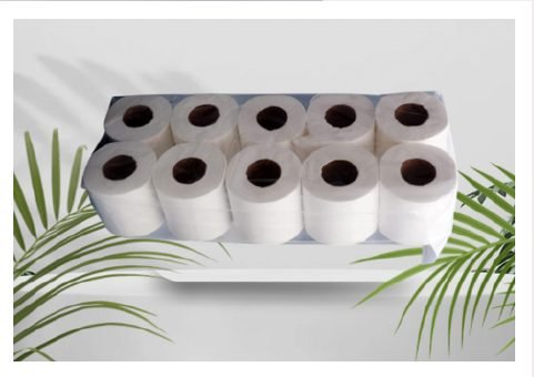 Toilet Paper 10 Rolls