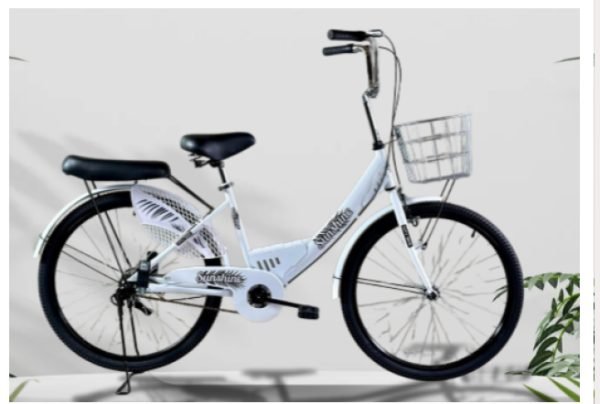 Sunshine City Bikes 20"