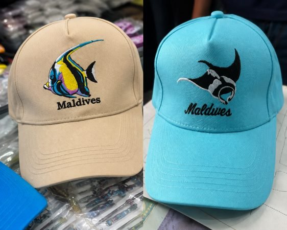 Embroidered Cap Mix Color